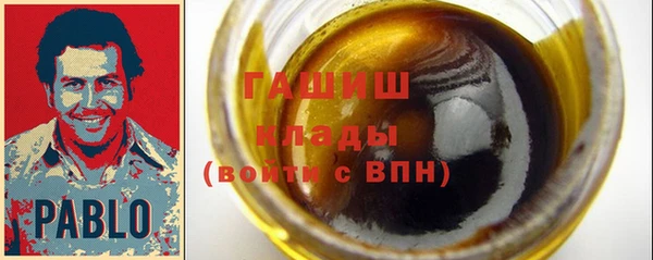 индика Богданович