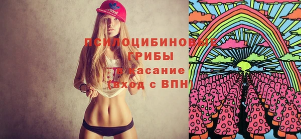 индика Богданович