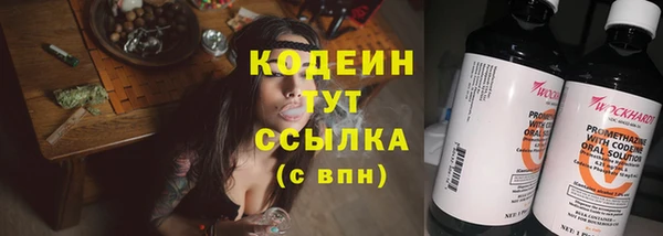 индика Богданович