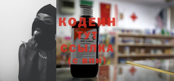 индика Богданович