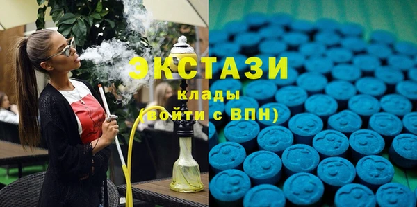 индика Богданович