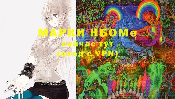 индика Богданович