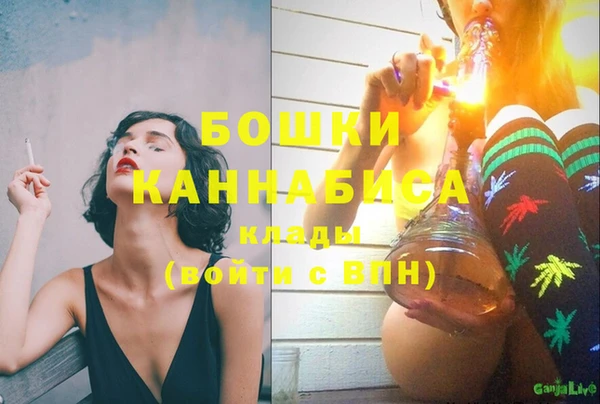 индика Богданович