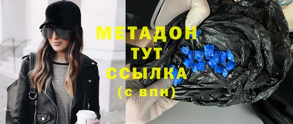 индика Богданович
