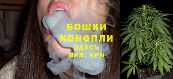 индика Богданович