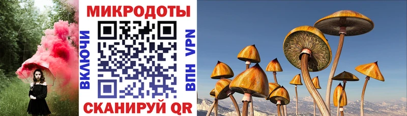 хочу наркоту  omg tor  Галлюциногенные грибы прущие грибы  Киров 